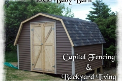 10x10 Baby Barn