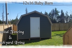 12x16 Baby Barn