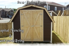 8x12 Baby Barn