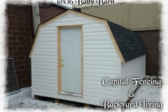 10x16 Baby Barn