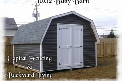 10x12 Baby Barn