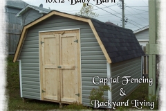 10x12 Baby Barn