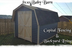 8×10 Baby Barn