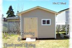 10x12 Shed