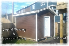 8x10 Shed