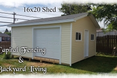 16x20 Shed